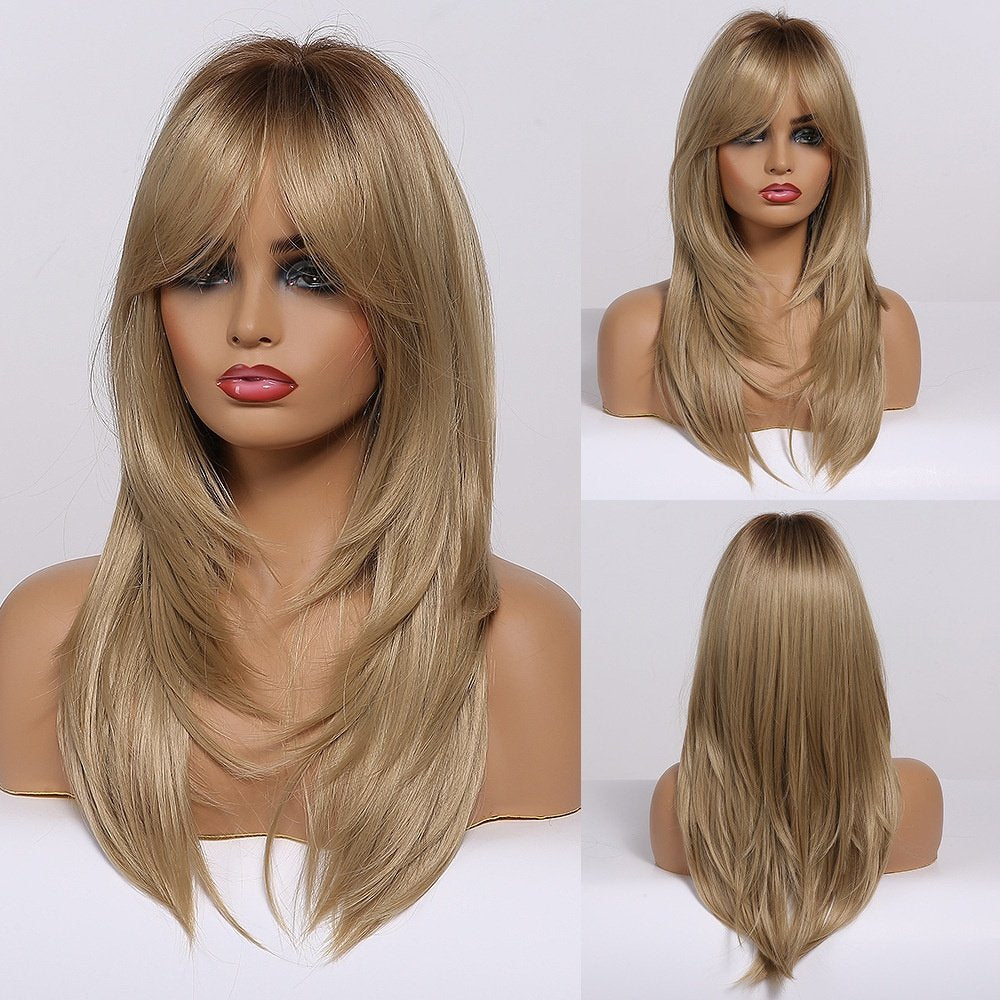 11217504