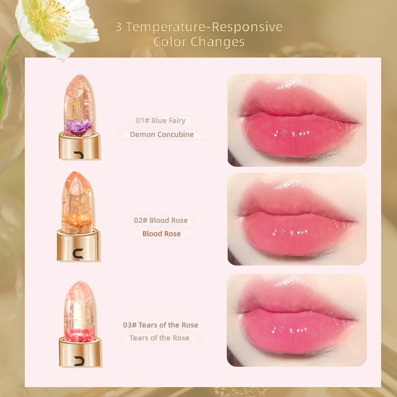 11256647